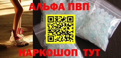 дмт Кингисепп