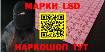 дмт Кингисепп