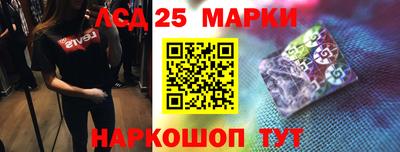 дмт Кингисепп