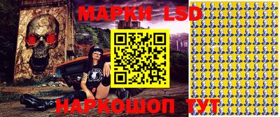 дмт Кингисепп