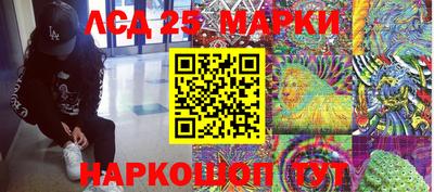 дмт Кингисепп