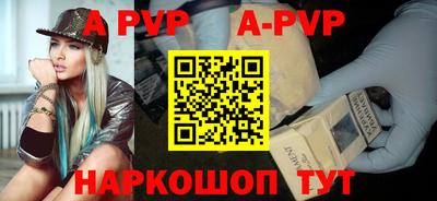 дмт Кингисепп