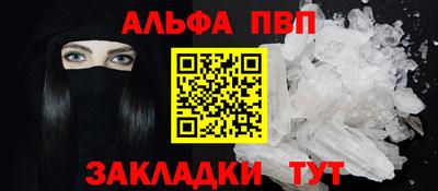 дмт Кингисепп