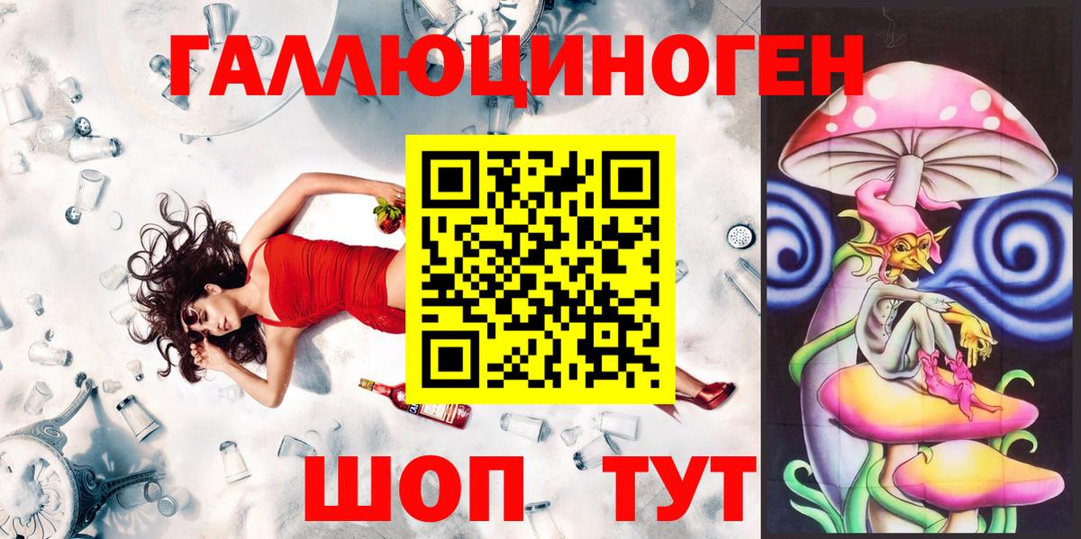 Галлюциногенные грибы Psilocybine cubensis Краснознаменск