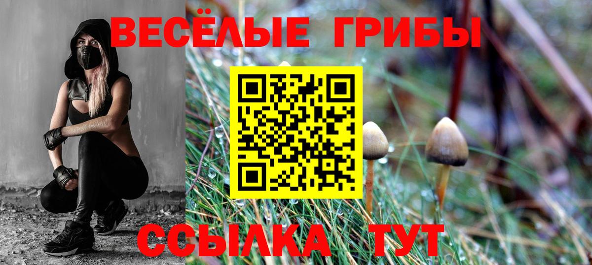 Краснознаменск  Псилоцибиновые грибы MAGIC MUSHROOMS  Псилоцибиновые грибы Cubensis  Вход с VPN 